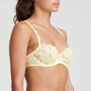 ANI limonada balconnet verticale naad