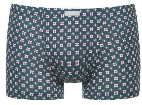 Boxershort palm hue